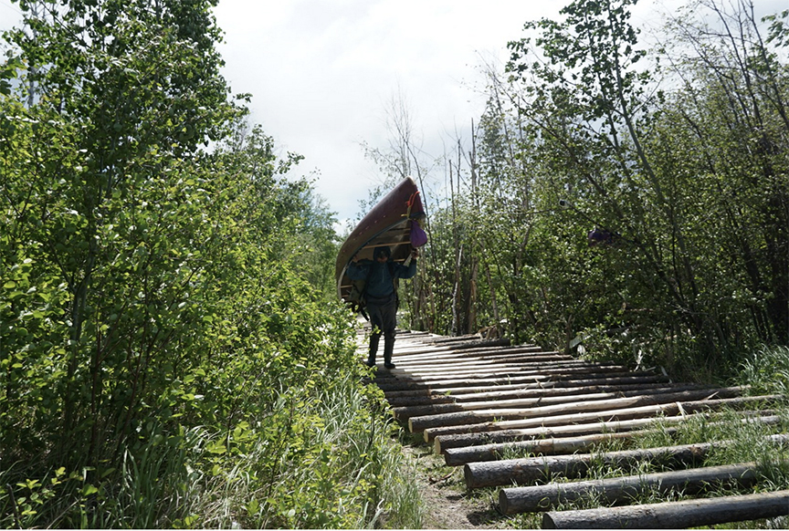 portaging canoe over logs